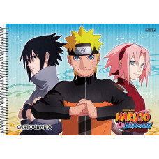 Caderno desenho cartolgrafia